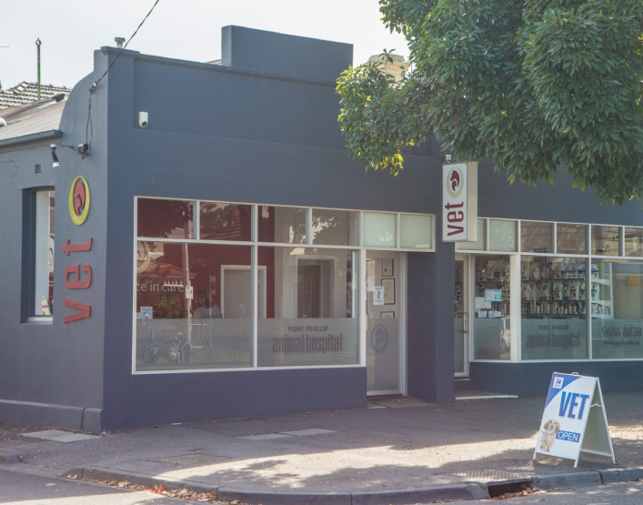 About Port Phillip Animal Hospital